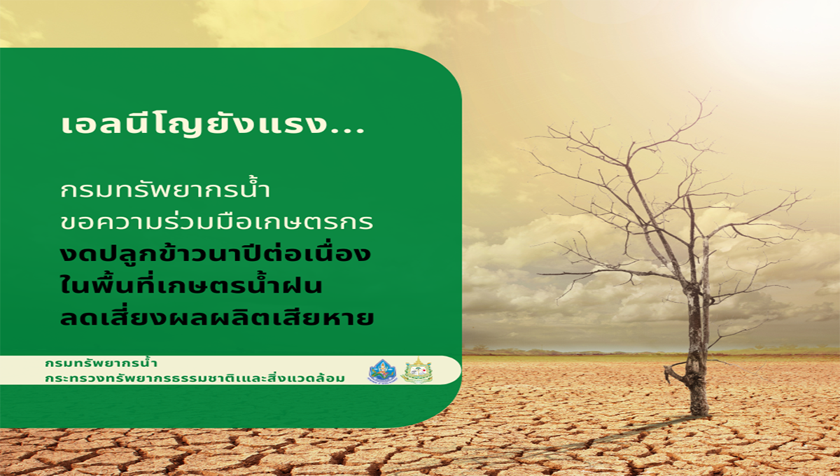 ขอความร่วมมือเกษตรกรงดการปลูกข้าวนาปีต่อเนื่องเพื่อลดผลกระทบจากปรากฎการณ์เอลนีโญ