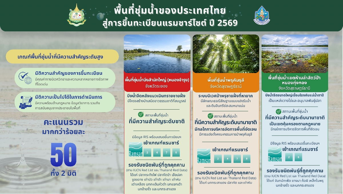 พื้นที่ชุ่มน้ำ