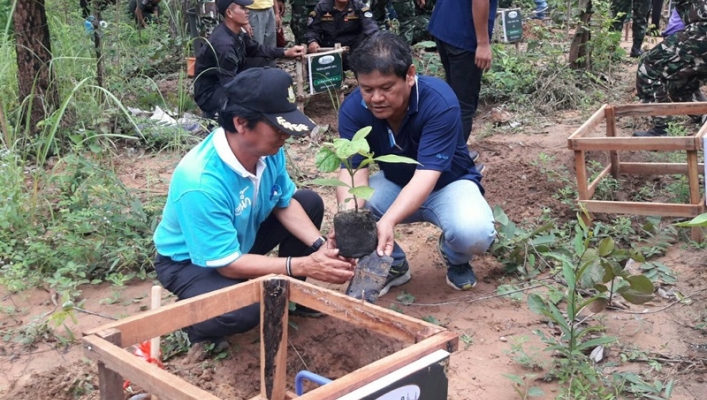 สทภ.11 ร่วมกิจกรรมเพิ่มพื้นที่สีเขียวและการจัดการสิ่งแวดล้อมในวัดภายใต้โครงการ 