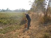 สทภ.11 สำรวจวิเคราะห์คุณภาพดินและวัสดุข้างเคียงของโครงการอนุรักษ์ฟื้นฟูแหล่งน้ำในพื้นที่จังหวัดอุบลราชธานี