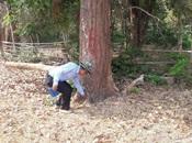 สทภ.11 ตรวจติดตามความก้าวหน้าการดำเนินการโครงการอนุรักษ์ฟื้นฟูแหล่งน้ำทำนบห้วยทราย