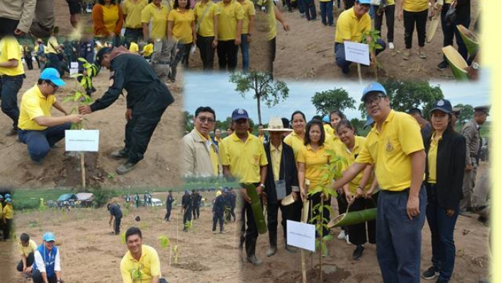 สทภ.9 ร่วมกิจกรรมปลูกต้นไม้และปลูกป่าเฉลิมพระเกียรติ์ จังหวัดพิษณุโลก