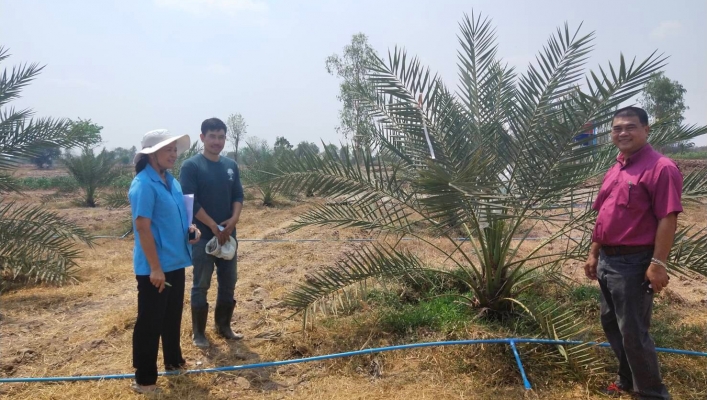สทภ.7  ลงพื้นที่สำรวจข้อมูลพื้นที่เสี่ยงขาดแคลนน้ำเพื่อการเกษตร ( ไม้ยืนต้น ไม้ผล) นอกเขตชลประทาน ในพื้นที่ตำบลวังไผ่, ตำบลดอนแสลบ อำเภอห้วยกระเจา จังหวัดกาญจนบุรี