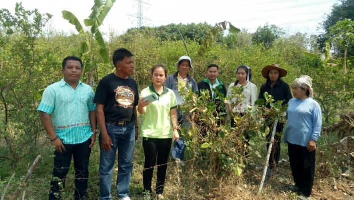 สทภ.7  ลงพื้นที่สำรวจข้อมูลพื้นที่เสียงขาดแคลนน้ำเพื่อการเกษตร (ไม้ผล ไม้ยืนต้น) นอกเขตชลประทาน ตำบลหนองกะปุ อำเภอบ้านลาด จังหวัดเพชรบุรี