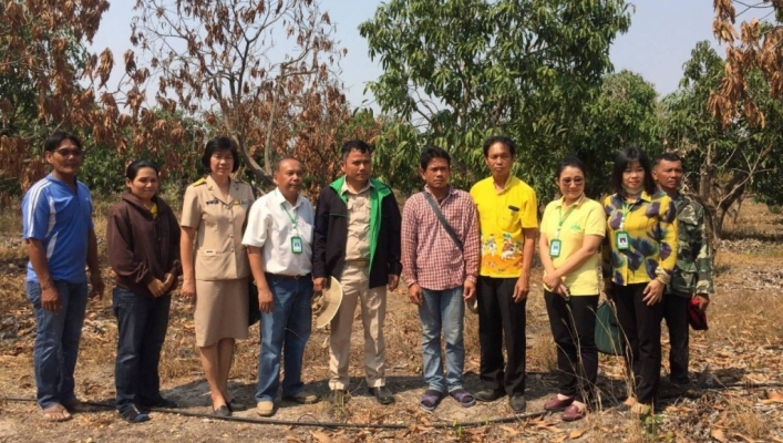 สทภ.7  ลงพื้นที่สำรวจข้อมูลเกษตรกรผู้ปลูกไม้ผลไม้ยืนต้นนอกเขตชลประทาน  ณ อำเภอเลาขวัญ จังหวัดกาญจนบุรี