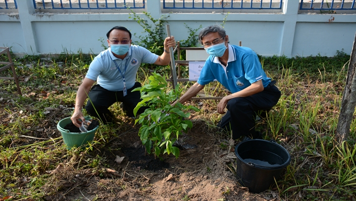สทภ.11 เข้าร่วมกิจกรรมปลูกต้นไม้ประจำปีของชาติ