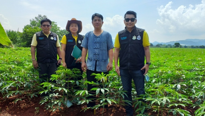 สทภ.๒ โดยส่วนประสานและบริหารจัดการลุ่มน้ำป่าสัก ลงพื้นที่ประสานและสำรวจโครงการเกษตรแปลงใหม่มันสำปะหลัง ม. ๘ บ.คลองกลุ่ม ต.ห้วยขุนราม อ.พัฒนานิคม จ.ลพบุรี