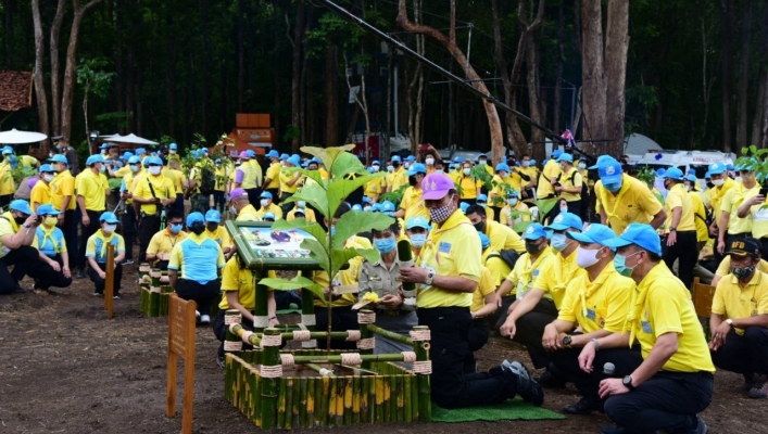 นายกรัฐมนตรีนำทีมปลูกป่าทั่วประเทศ