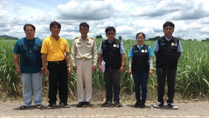 ทส.ทน.สทภ.2 ประสาน สำรวจโครงการเกษตรแปลงใหญ่ในพื้นที่จังหวัดเพชรบูรณ์