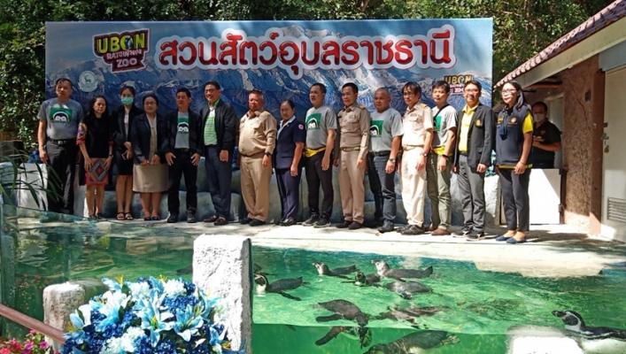 สทภ.11 ร่วมพิธีเปิดส่วนแสดงนกเพนกวิน