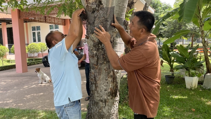 สทภ.1 ปรับปรุงภูมิทัศน์พร้อมขับเคลื่อนการจัดการ “พื้นที่สีเขียว” อย่างยั่งยืน