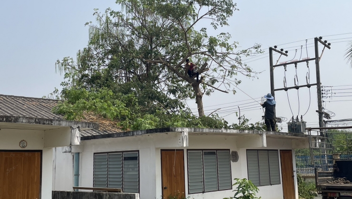 สทน.1 ปรับปรุงภูมิทัศน์ ตัดตกแต่งต้นไม้  ป้องกันพายุฤดูร้อน