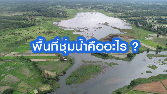 สารคดีให้ความรู้เรื่องพื้นที่ชุ่มน้ำ โดย กองอนุรักษ์ทรัพยากรน้ำ