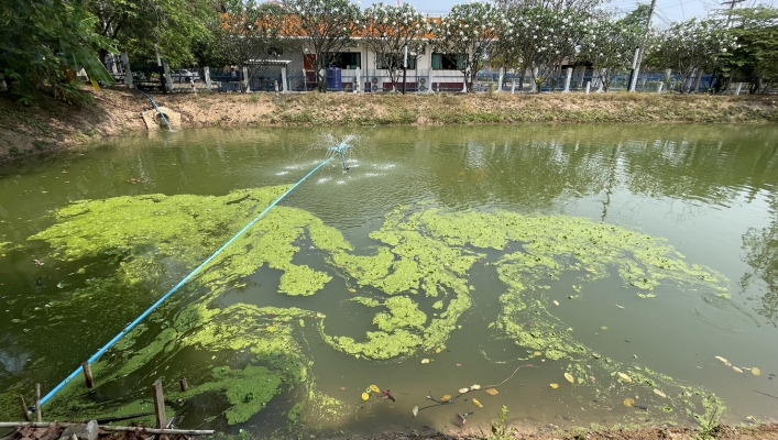 สทน.1 ปรับปรุงภูมิทัศน์ 