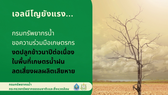 สทน. 11 ประชาสัมพันธ์ ขอความร่วมมือเกษตรกร งดปลูกข้าวนาปีต่อเนื่องในพื้นที่เกษตรน้ำฝน ลดเสี่ยงผลผลิตเสียหาย