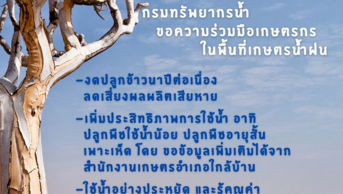 สทน. 11 ประชาสัมพันธ์ ขอความร่วมมือเกษตรกร งดปลูกข้าวนาปีต่อเนื่องในพื้นที่เกษตรน้ำฝน