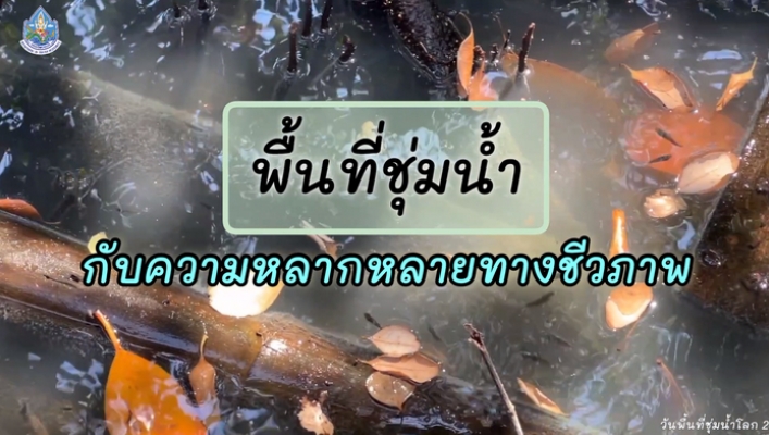 คลิปเผยแพร่ประชาสัมพันธ์ และสร้างความตระหนักรู้เนื่องในวันพื้นที่ชุ่มน้ำโลก วันที่ 2 กุมภาพันธ์ 2567
