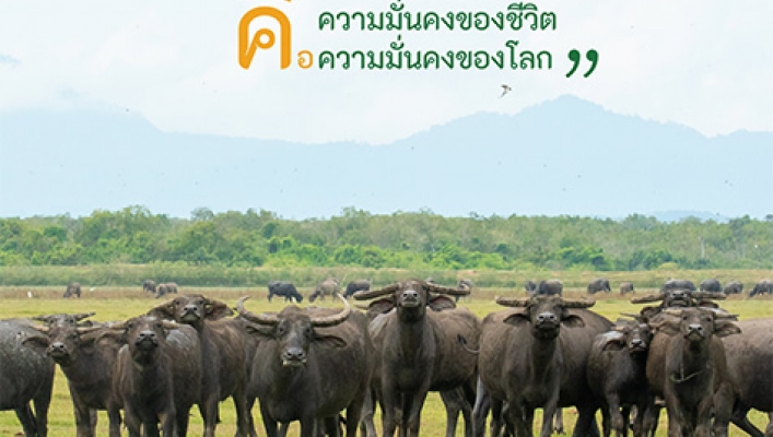 สัตว์สะเทินน้ำสะเทินบก สัตว์เลื้อยคลาน นก และสัตว์เลี้ยงลูกด้วยนมในพรุลานควาย