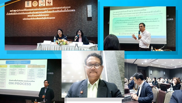 กอน. ร่วมประชุมกลุ่มย่อยภายใต้โครงการ Global Biodiversity Framework Early Action Support