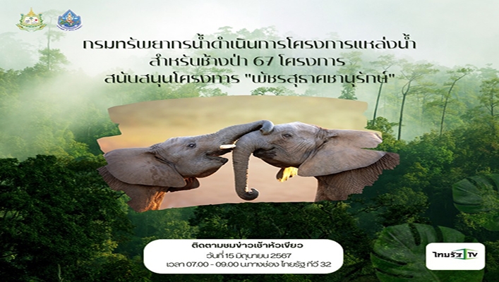 กรมทรัพยากรน้ำดำเนินการแหล่งน้ำสำหรับช้างป่า 67 โครงการ