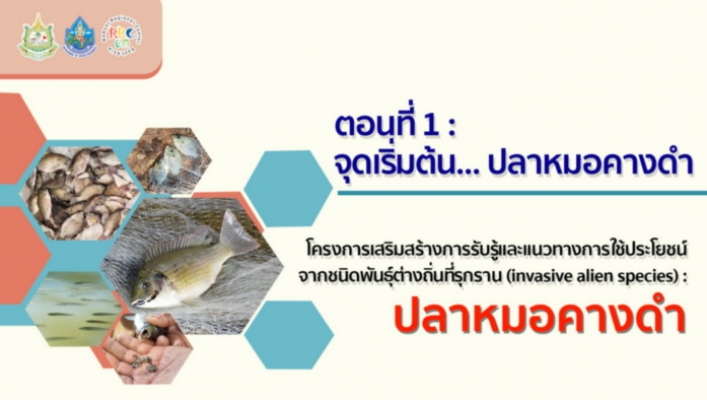 VDO Clip โครงการเสริมสร้างการรับรู้และแนวทางการใช้ประโยชน์ จากชนิดพันธุ์ต่างถิ่นที่รุกราน (invasive alien species) : ปลาหมอคางดำ