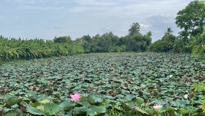 กรมทรัพยากรน้ำ โดย สำนักงานทรัพยากรน้ำที่ 2 ลงพื้นที่ประสานการดำเนินงานการบริหารจัดการพื้นที่ชุ่มน้ำ และตรวจสอบแหล่งน้ำสาธารณะ เพื่อกำหนดเป็นพื้นที่ชุ่มน้ำระดับท้องถิ่นในพื้นที่ อำเภอค่ายบางระจัน จังหวัดสิงห์บุรี