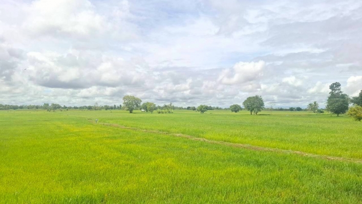 ทส. ทน. สทน.11 ส่วนอนุรักษ์ทรัพยากรน้ำ ประสานงานและติดตามการดำเนินงานการบริหารจัดการทรัพยากรน้ำสาธารณะและพื้นที่ชุ่มน้ำในพื้นที่จังหวัดยโสธร